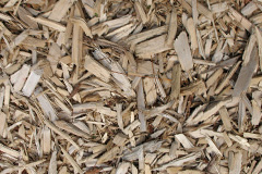 biomass boilers Cardigan